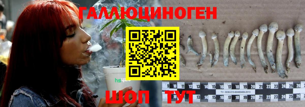 Псилоцибиновые грибы Cubensis  Вход с VPN  Орск  Псилоцибиновые грибы MAGIC MUSHROOMS 